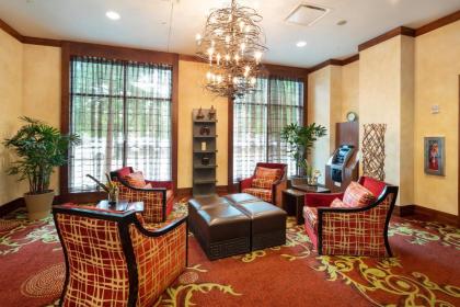 Embassy Suites Houston - Downtown - image 18