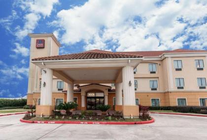 Comfort Suites Hobby Airport - image 1