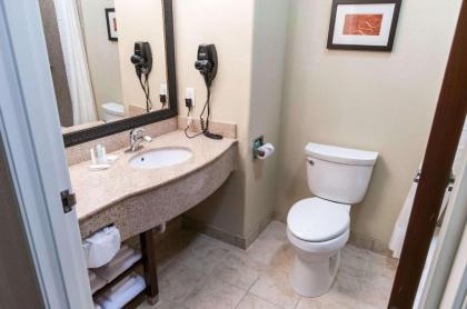 Comfort Suites Hobby Airport - image 14