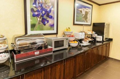 Comfort Suites Hobby Airport - image 15