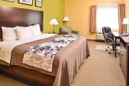 Sleep Inn and Suites Downtown Houston - image 8