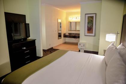 Holiday Inn Express Hotel & Suites Houston North Intercontinental an IHG Hotel - image 20