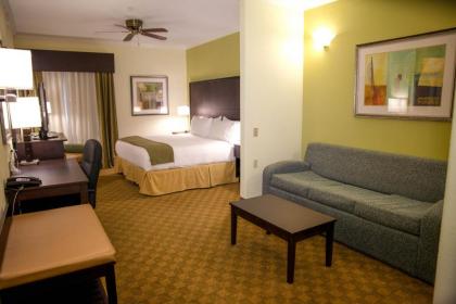 Holiday Inn Express Hotel & Suites Houston North Intercontinental an IHG Hotel - image 4