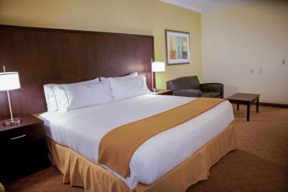 Holiday Inn Express Hotel & Suites Houston North Intercontinental an IHG Hotel - image 6