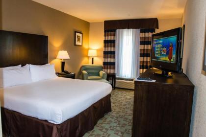 Holiday Inn Express Hotel & Suites Houston NW Beltway 8-West Road an IHG Hotel - image 8