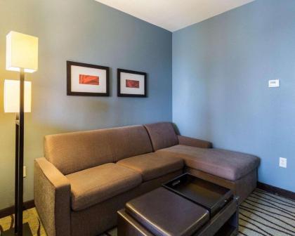 Comfort Suites near Westchase on Beltway 8 - image 15