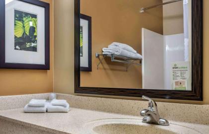 Extended Stay America Suites - Orlando - Convention Center - Universal Blvd - image 21