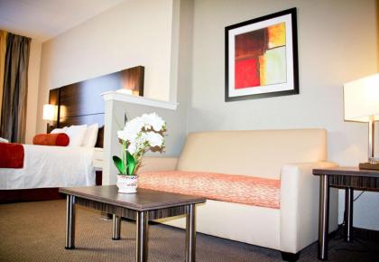 Best Western Airport Inn & Suites - image 24