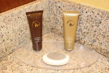 Rosen Inn International - image 22