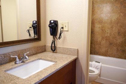 Rosen Inn International - image 24