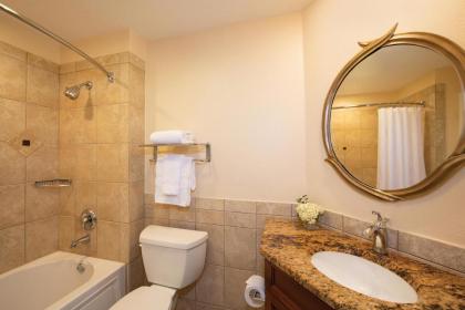 Sheraton Vistana Resort Villas Lake Buena Vista/Orlando - image 28