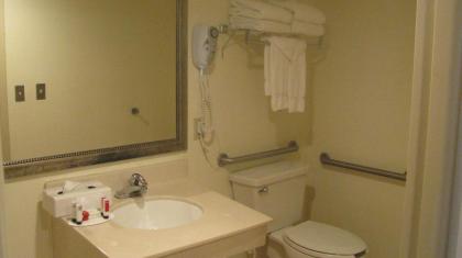 Ramada Plaza Resort & Suites by Wyndham Orlando Intl Drive - image 25
