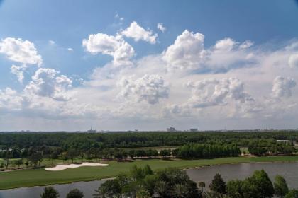 The Ritz-Carlton Orlando Grande Lakes - image 16