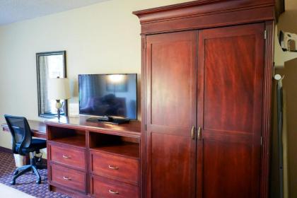 Rosen Inn At Pointe Orlando - image 25