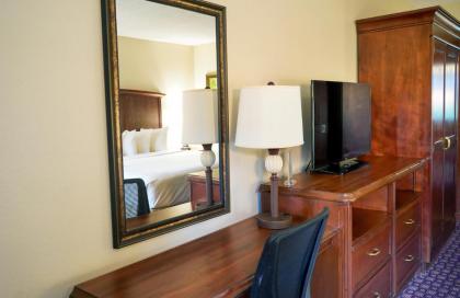Rosen Inn At Pointe Orlando - image 26