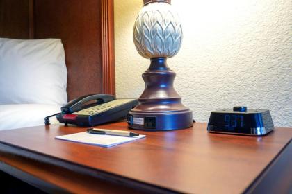 Rosen Inn At Pointe Orlando - image 28