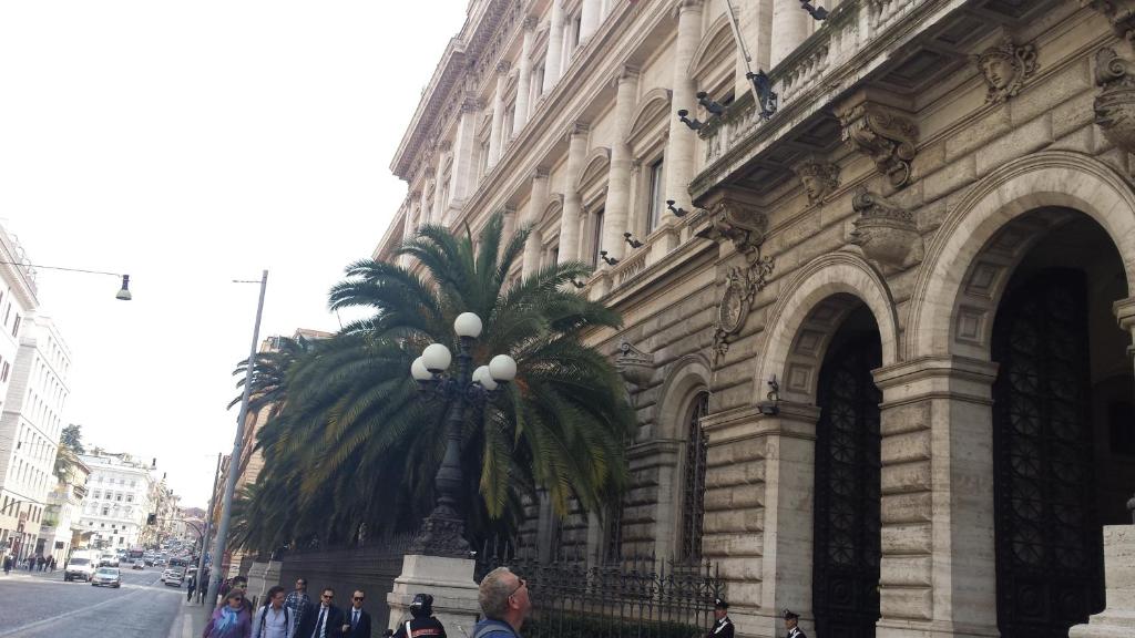 Monti First - image 7