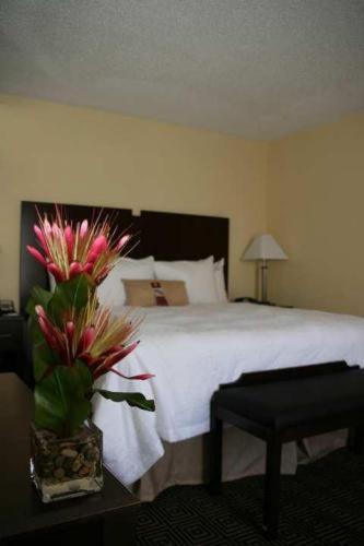 Hampton Inn & Suites Orlando-John Young Parkway/South Park - image 2
