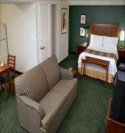Residence Inn by Marriott- Medical Center South Houston